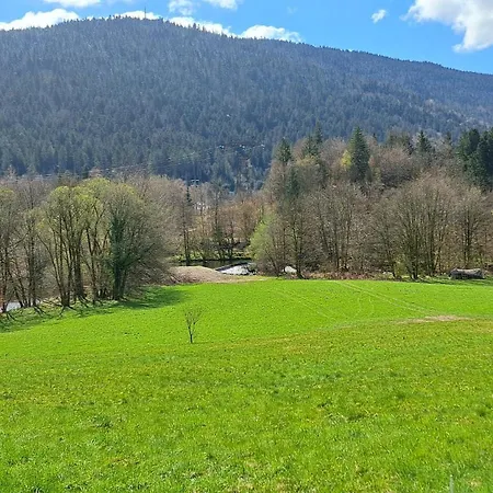 Apartment Le Des Cotes Cornimont