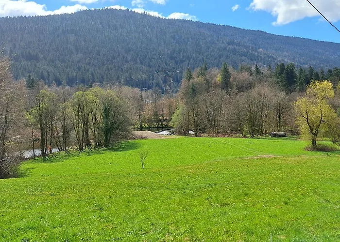 Apartment Le Des Cotes Cornimont